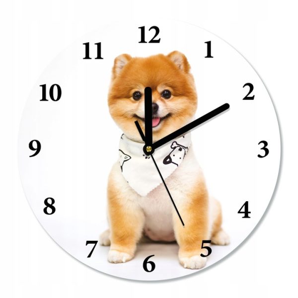Sieninis laikrodis Pomeranian šuniukas, 30 cm skersmens