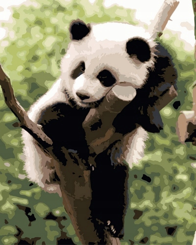 Tapyba pagal skaičius panda