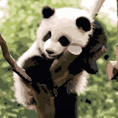Tapymas pagal numerius Panda Ipicasso rinkinys 40*50 cm su rėmais